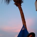 John Raposo - @john.raposo.397 - Instagram