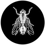 John Raptis - @visceral.industry - Instagram