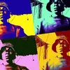 Home boy - @johnrastajohnrast - TikTok