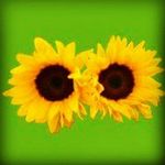 John Rawls - @john.rawls - Instagram