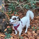 John Rawson - @john.rawson.10 - Instagram