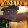 John Read - @johnread1 - TikTok
