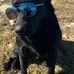 John Redden - Facebook