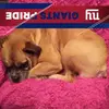 johnredden518 - @johnredden518 - TikTok