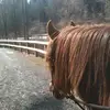 Johnnnyr - @johnreever - TikTok