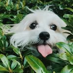 John Regas - @johnregas45 - Instagram