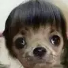johnrehnz - @johnrehnz0 - TikTok
