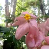 John Reil - @john.reil03 - TikTok