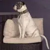 John Reilly - @john.reilly69 - TikTok
