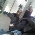 John Reimann - @john.reimann.90 - Instagram