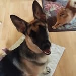 John Reischman - @john.reischman - Instagram