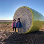 John Rempel - @john.rempel.10 - Instagram