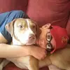 John Renfro - @johnrenfro - TikTok