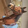 lotte - @johan.rensink - TikTok