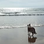John Revans - @revansjohn - Instagram
