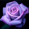 John Revis - @30220032265 - TikTok