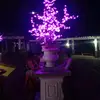 John Rhein Ilan - @john.rhein.ilan - TikTok