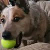 johnrhoades59 - @jsrjkzlp - TikTok