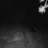 John Rhodes - @john.rhodes23 - TikTok