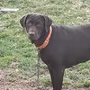 John Rhodes - @john.rhodes51 - TikTok
