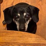 John Rickabaugh - @thepiratedoc - Instagram