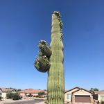 John Ricketson - @ricketson9062 - Instagram