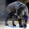 johnriehle - @john.riehle - TikTok