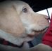 John Riendeau - Facebook