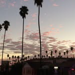 John Rienzo - @johnjamesla - Instagram