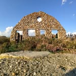 Jon Rifkin - @wildbluet - Instagram