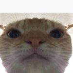 John Rigel Pepito - @john_pepitooo - Instagram