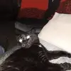 John Riggs - @john.riggs02 - TikTok