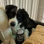 John Rigoni - @johnrz500 - Instagram