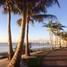 John Ringling Bridge Dog Park - Facebook