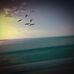 John Ringling Causeway Bridge - Facebook