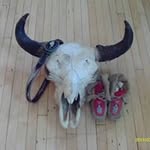 John Rittel - @johnrittel - Instagram