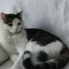 John Ritter - @john.ritter37 - TikTok