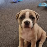 John Roach - @roach4806 - Instagram