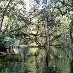 john robey - @poets9thlife - Instagram