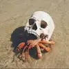 Jon Robey - @jonrobey - TikTok