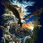 John Robichaud - @just_like_eagles - Instagram