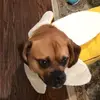johnrobison_ - @jrobison8_ - TikTok