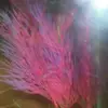 John Robles - @johnrobles75 - TikTok