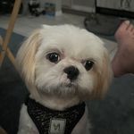 John Rochette - @john.rochette.90 - Instagram