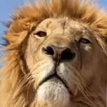 Dreamz - @johnrockerstan - Instagram