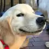 johnrodarte687 - @johnrodarte687 - TikTok