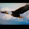 johnrodas459 - @johnrodas459 - TikTok