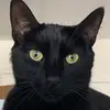 johnrodd2018 - @johnrodd2018 - TikTok
