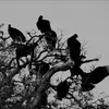 John Roe - @john.roe7 - TikTok
