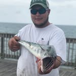 John Rohm - @johnrohm - Instagram
